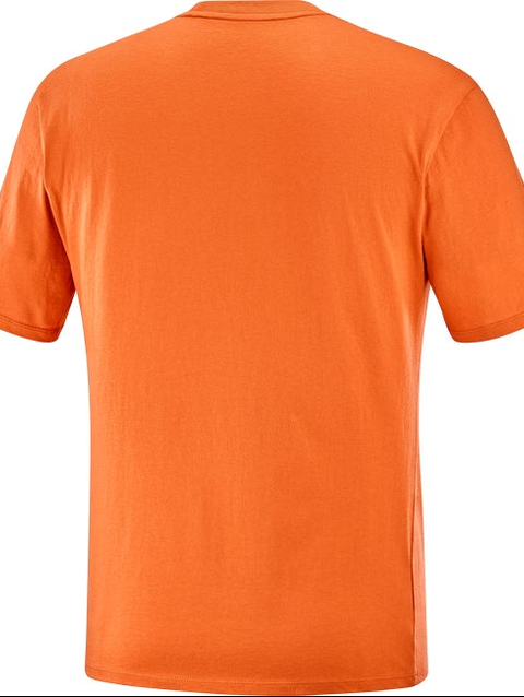 SALOMON LOGO PERFORMANCE Men's Short Sleeve T-Shirt BURNT OCHRE